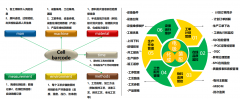 通过人、机、料、法、环、测、时间等7维制
