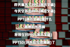 <b>又会表示若何？而PPT创做则能借用大模子的AI能力</b>